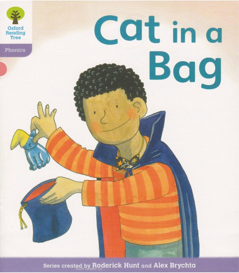 L1 Cat in a Bag绘本故事第2页