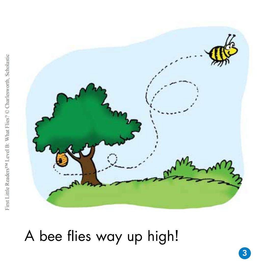 What Flies?绘本故事第4页