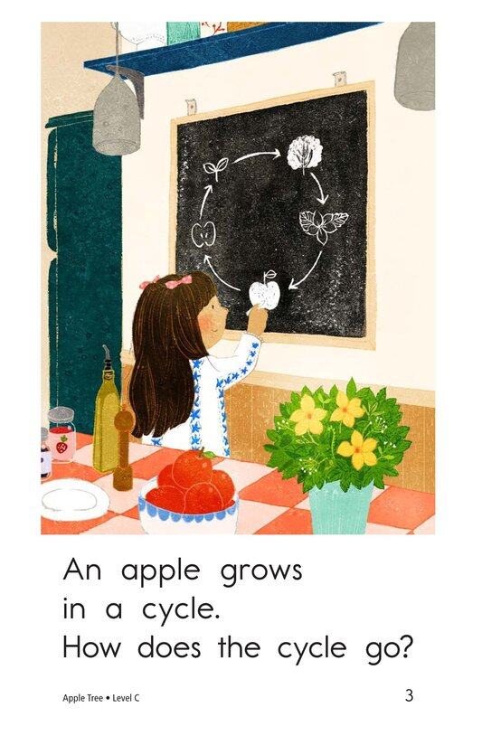 Apple Tree绘本故事第3页