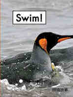 Swim