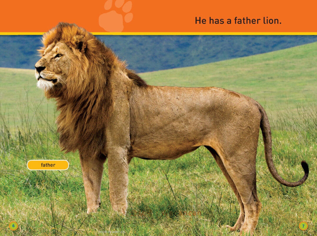 Go Cub绘本故事第5页