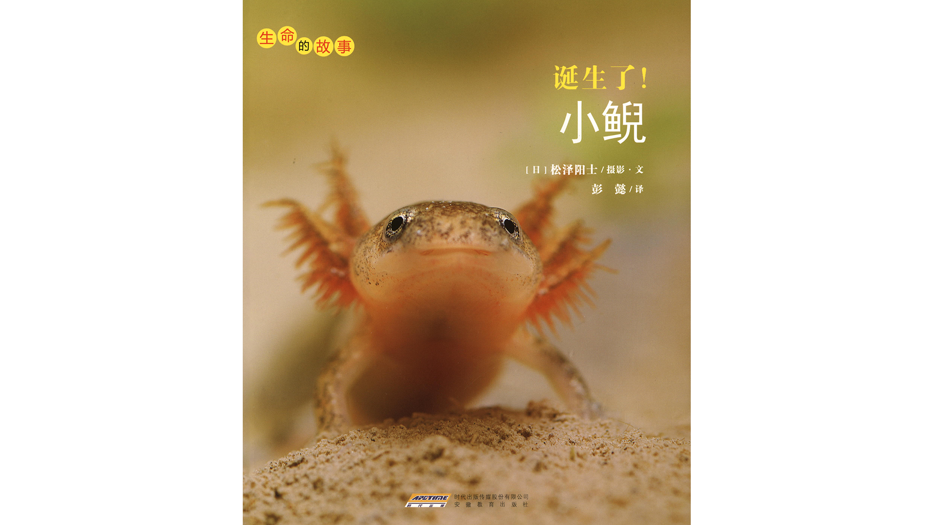 诞生了！小鲵绘本故事第2页