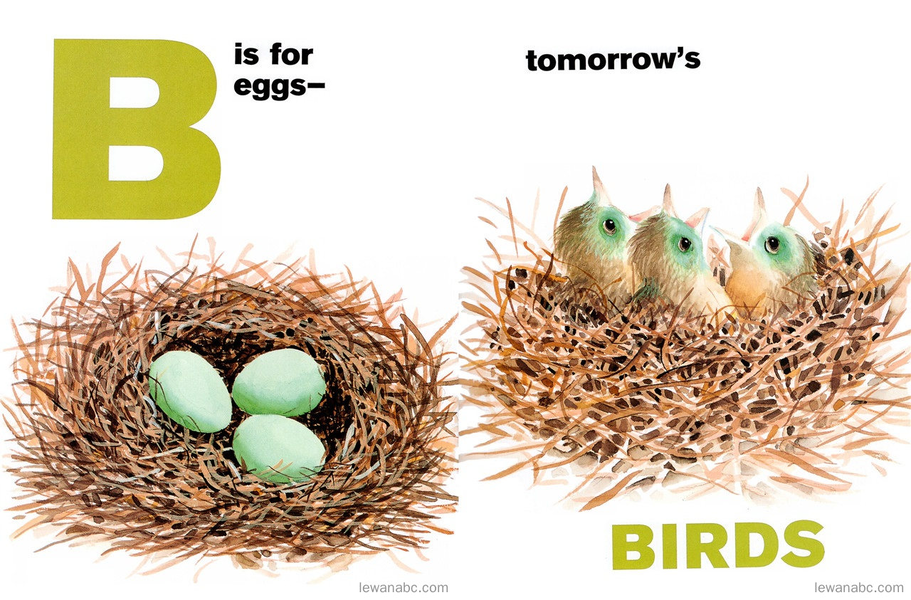 (42周)Tomorrow's Alphabet 绘本故事第4页