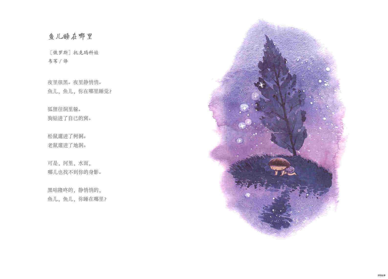 鱼儿睡在哪里