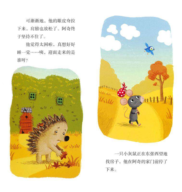 我的房子，大家的房子绘本故事第4页