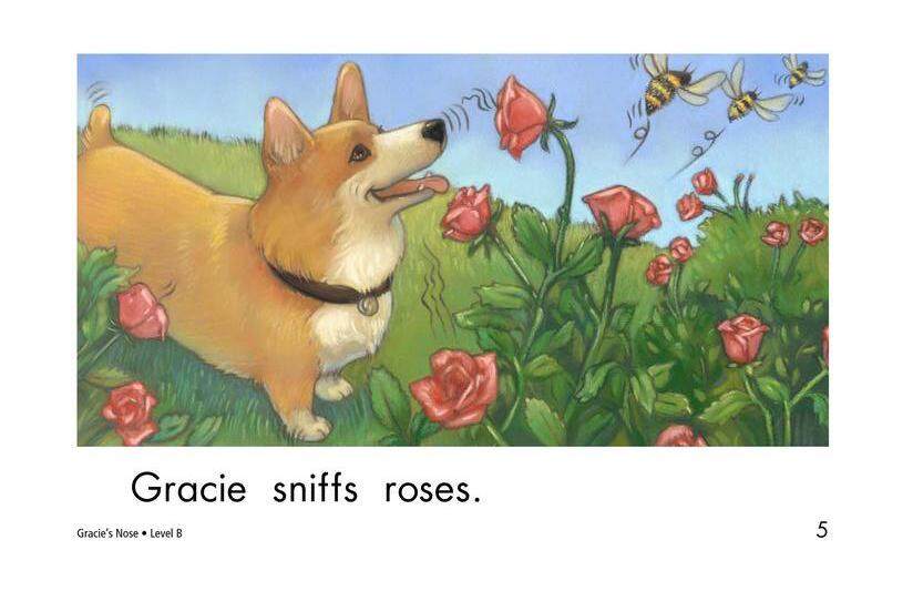 Gracie's Nose绘本故事第5页