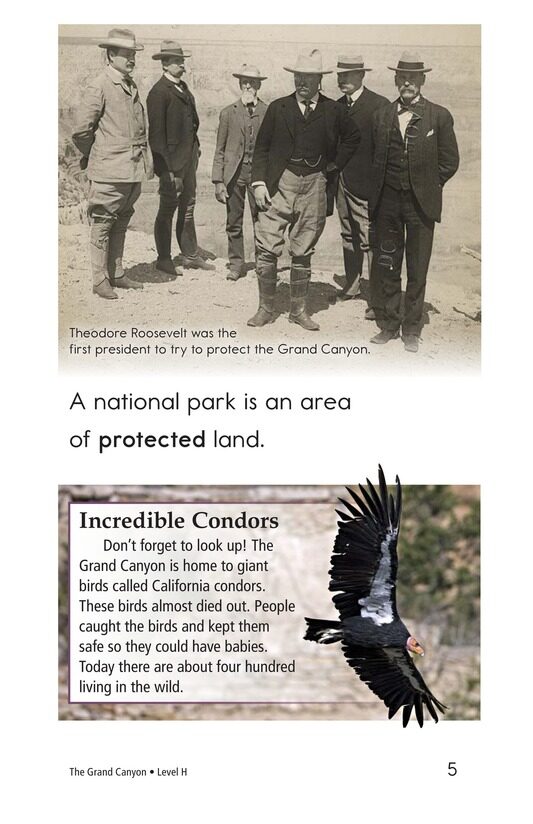 The Grand Canyon绘本故事第4页