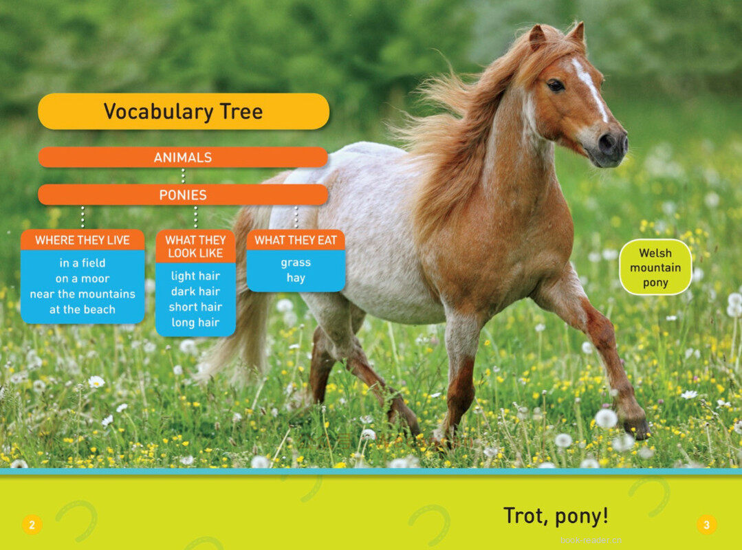 Trot Pony绘本故事第3页