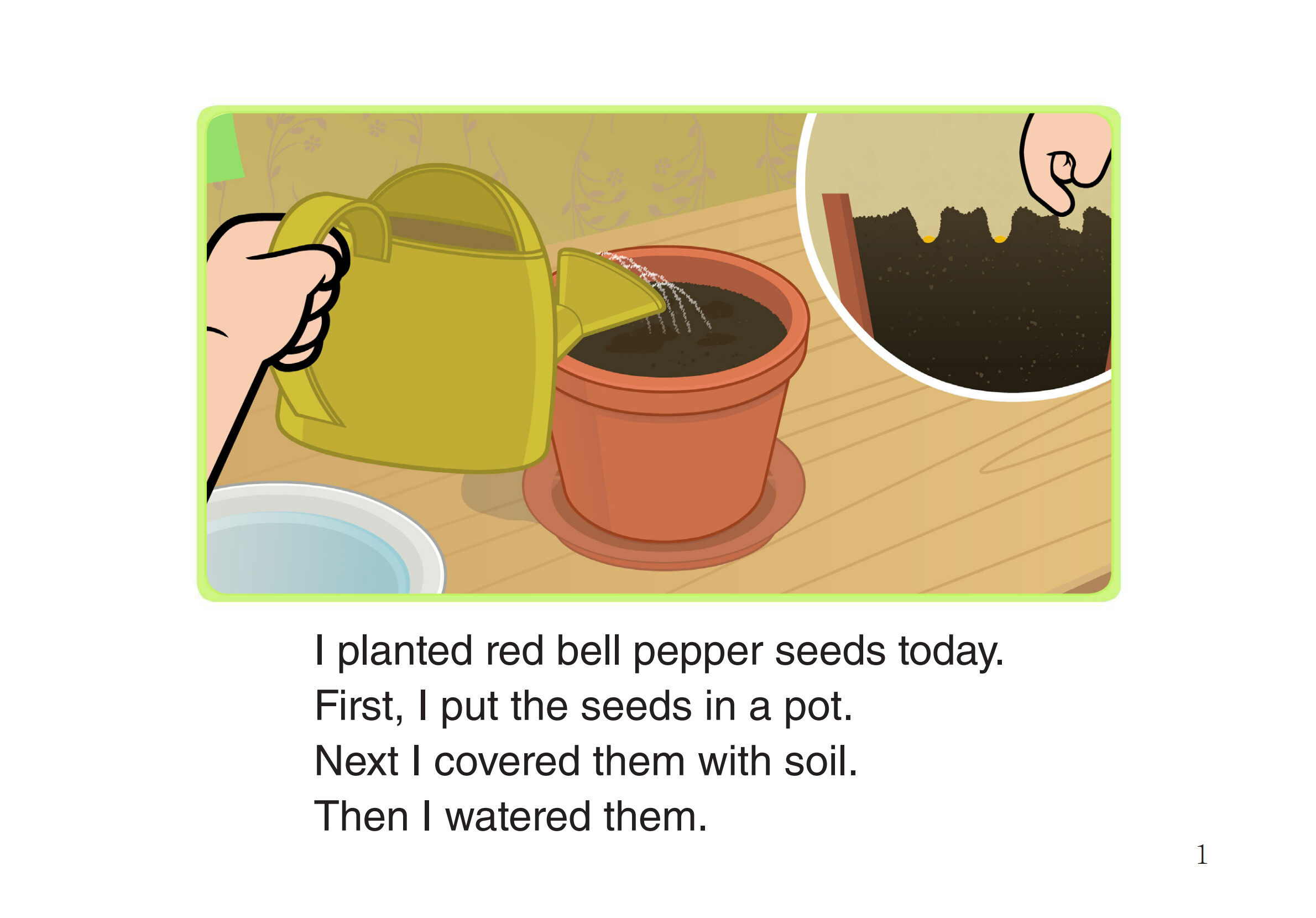 Growing Bell Peppers绘本故事第2页