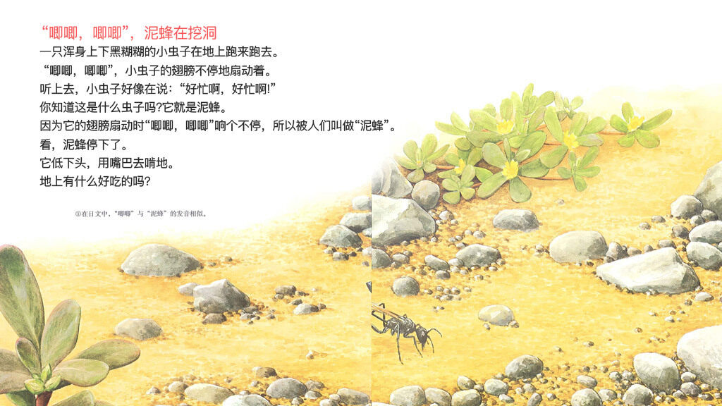 高明的麻醉师泥蜂绘本故事第4页