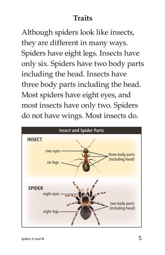 Spiders绘本故事第4页