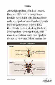 Spiders绘本故事第4页