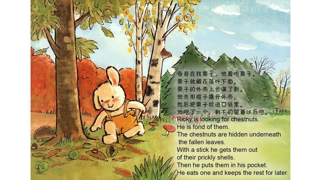 栗子树下的秘密  绘本故事第4页