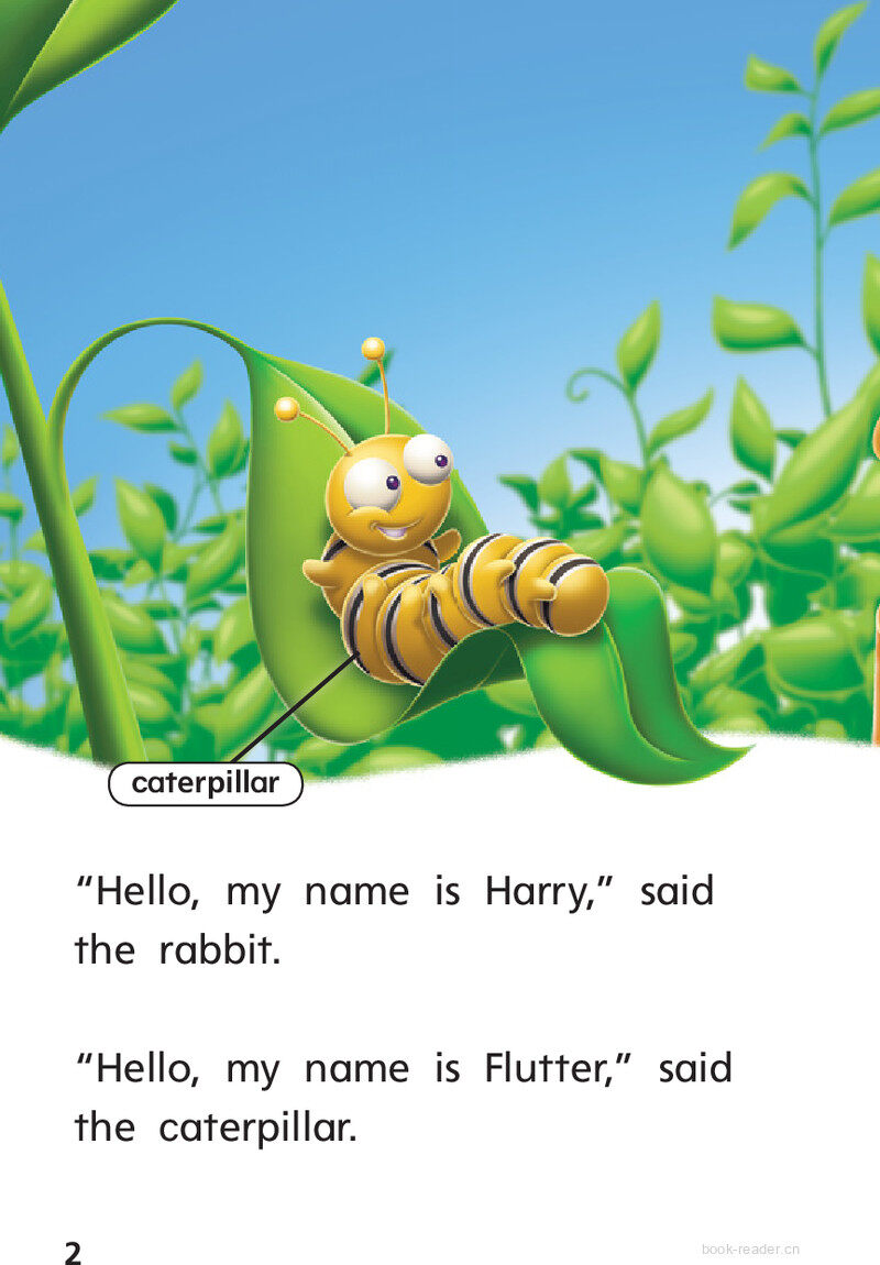 G1 ELL U5W2 Hide and Seek!绘本故事第4页