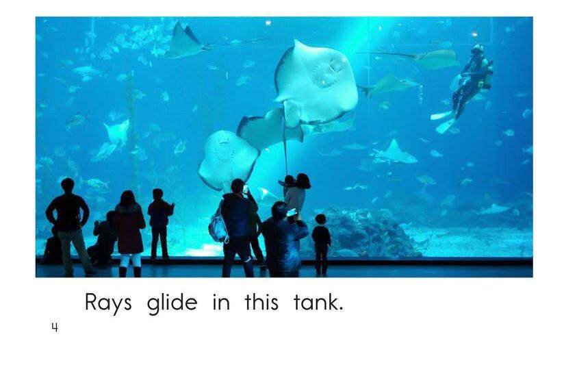 The Aquarium绘本故事第4页