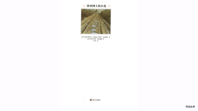 铁丝网上的小花绘本故事第3页