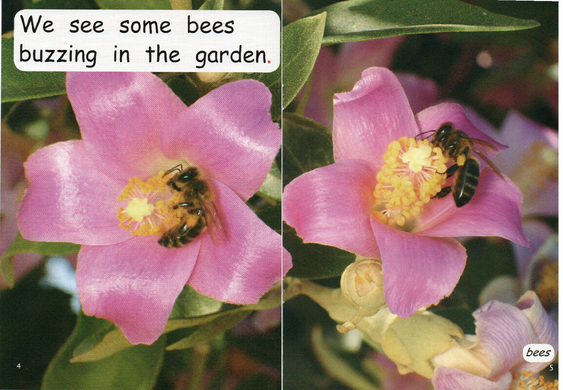 what is in the garden绘本故事第4页