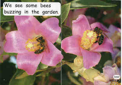 what is in the garden绘本故事第4页
