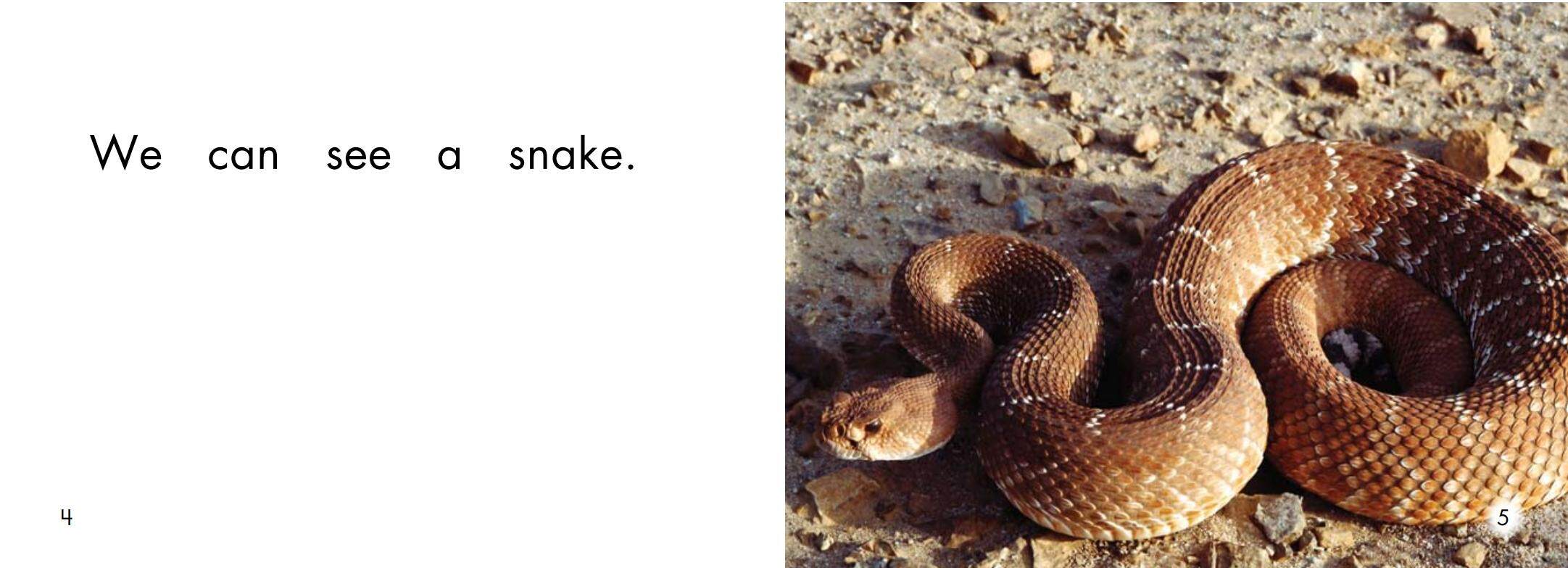 At the zoo绘本故事第4页