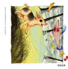 旋风绘本故事第3页