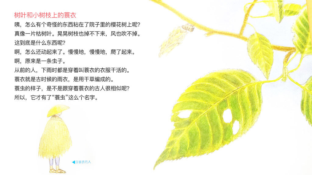 勤奋的蓑衣匠蓑虫绘本故事第4页