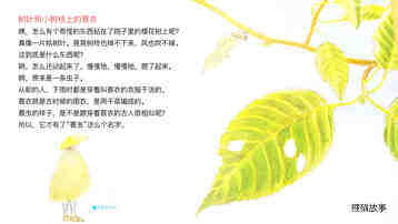 勤奋的蓑衣匠蓑虫绘本故事第4页