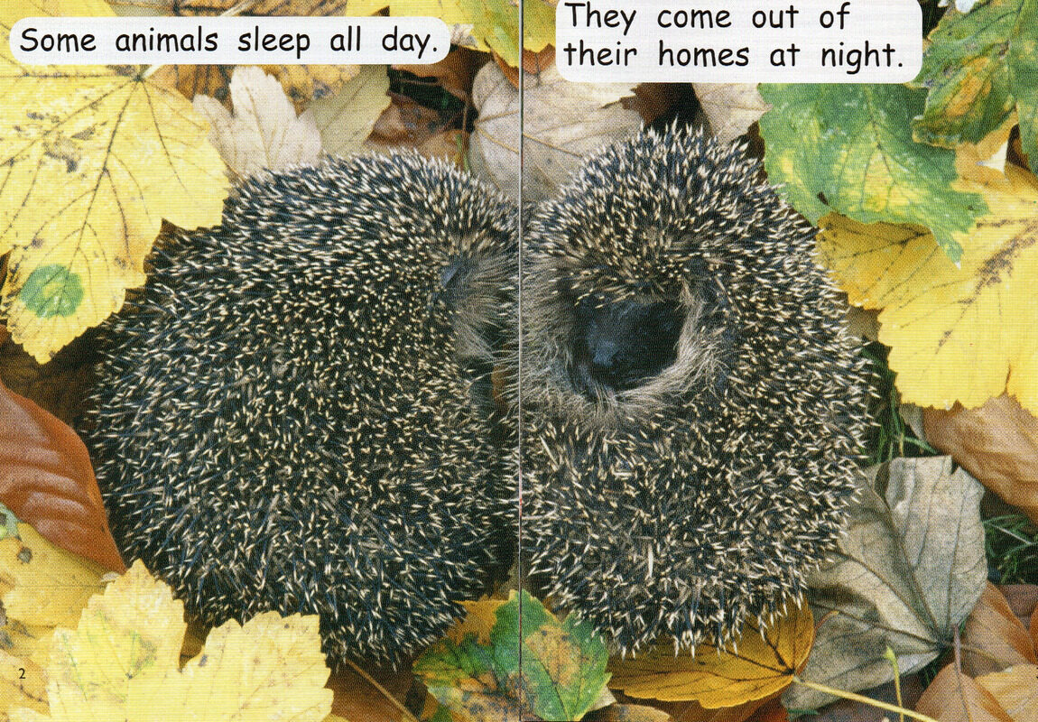 after dark绘本故事第3页