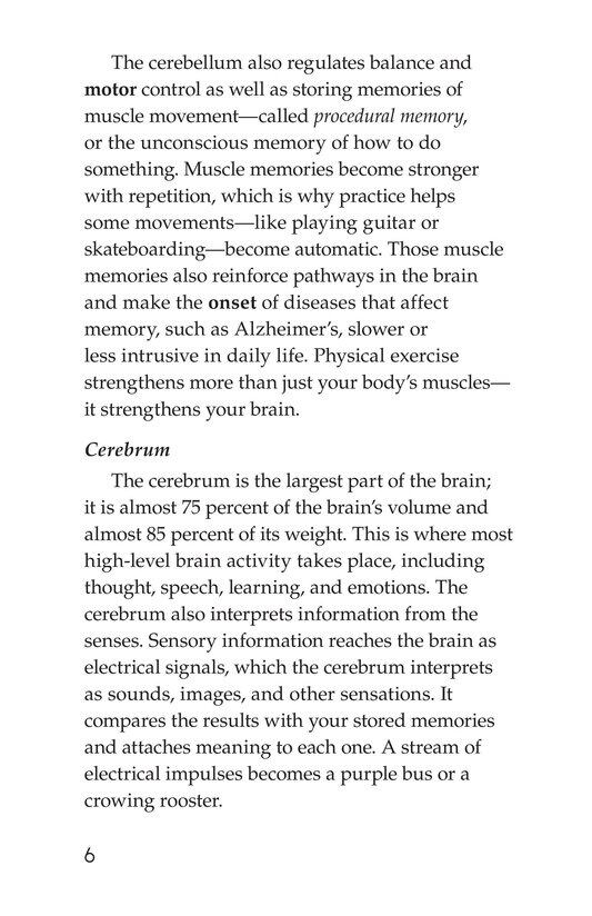 The Amazing Brain绘本故事第5页