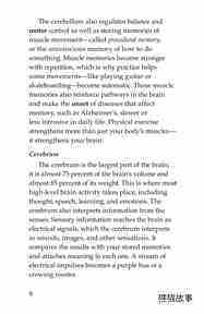 The Amazing Brain绘本故事第5页