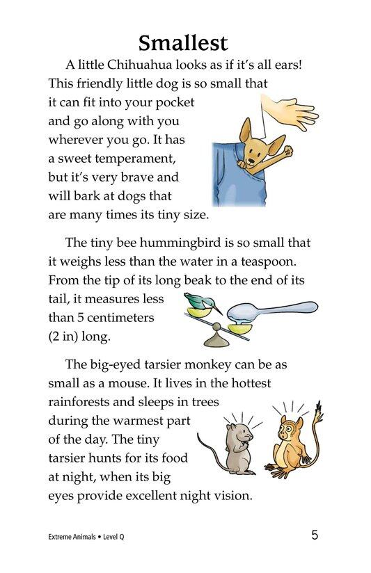 Extreme Animals绘本故事第5页