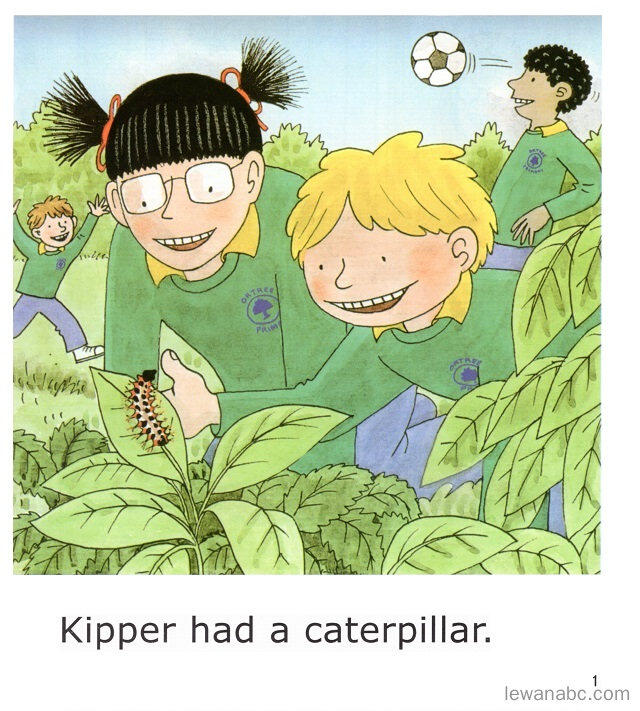 The Caterpillar绘本故事第3页
