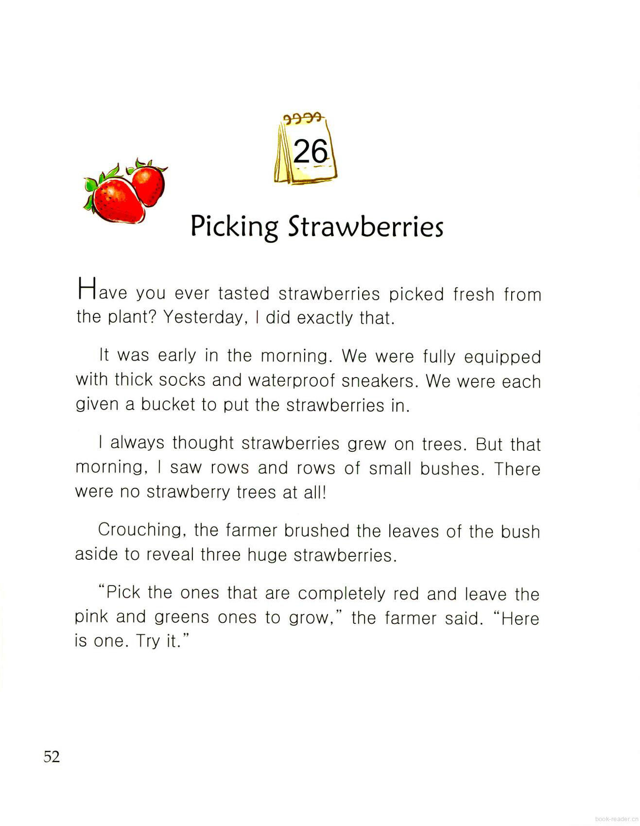 Picking Strawberries绘本故事第2页