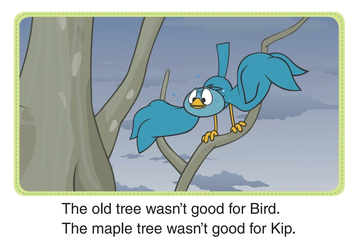 New Trees绘本故事第2页