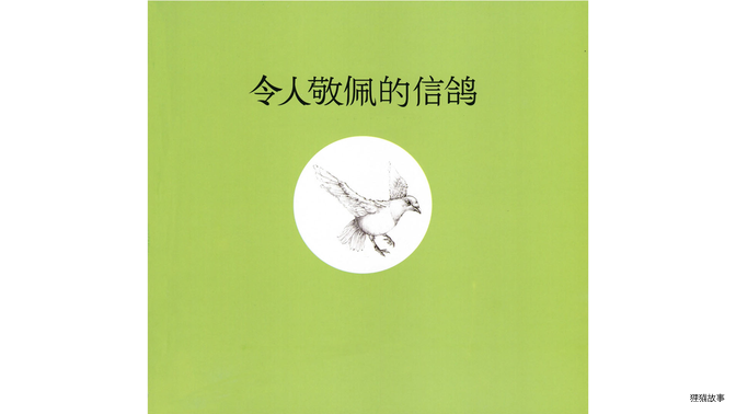 令人敬佩的信鸽绘本故事第3页