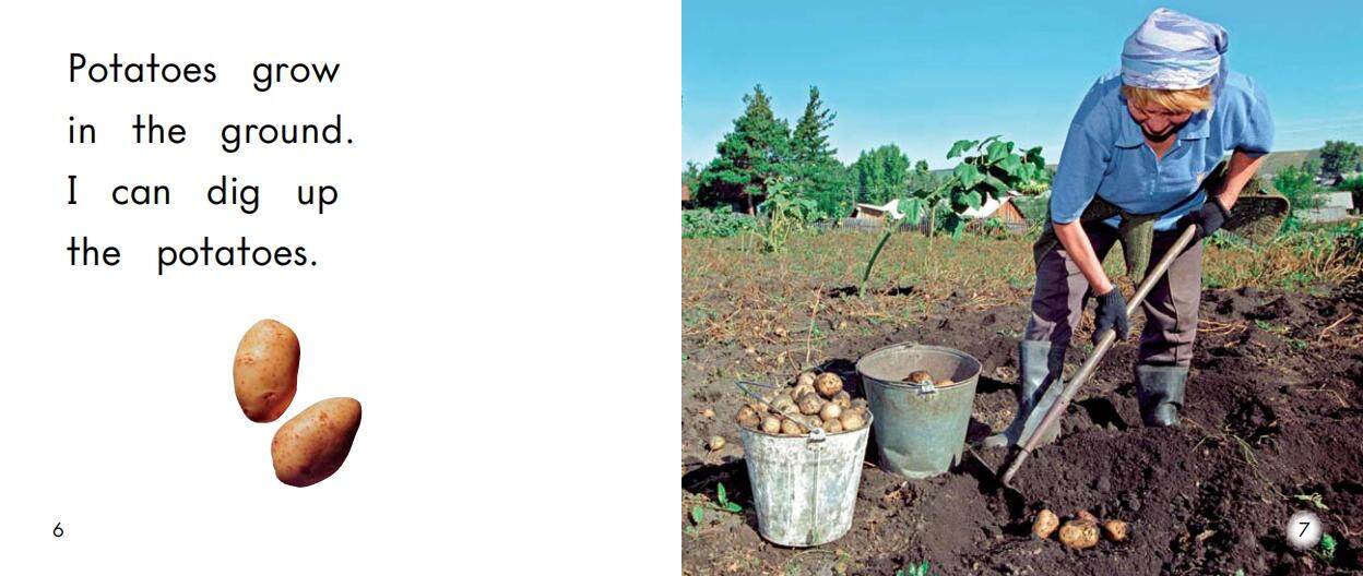 Where things grow绘本故事第5页