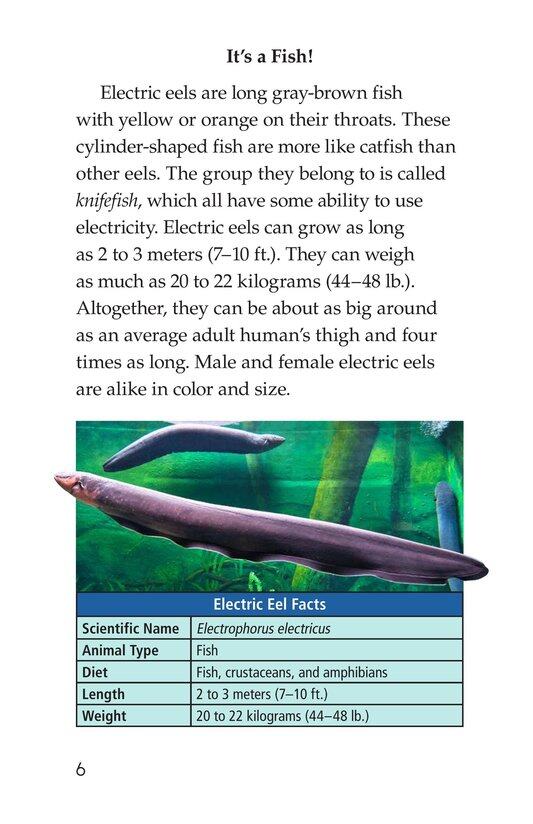 Electric Eels!绘本故事第5页
