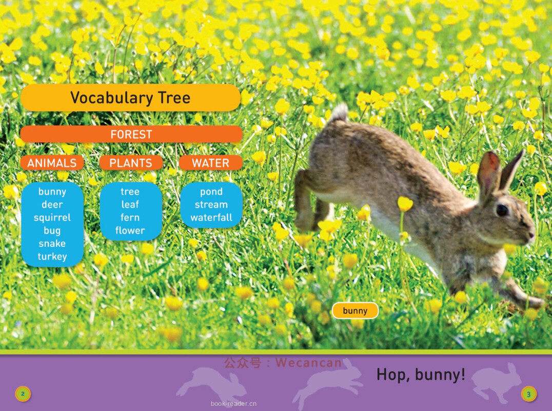 Hop Bunny绘本故事第3页