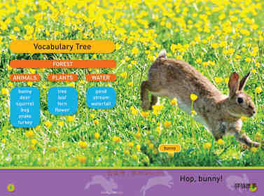 Hop Bunny绘本故事第3页