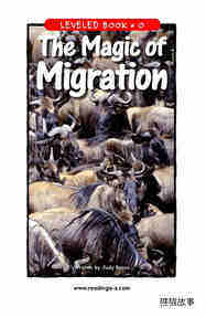 The Magic of Migration