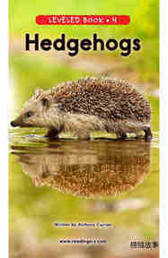 Hedgehogs