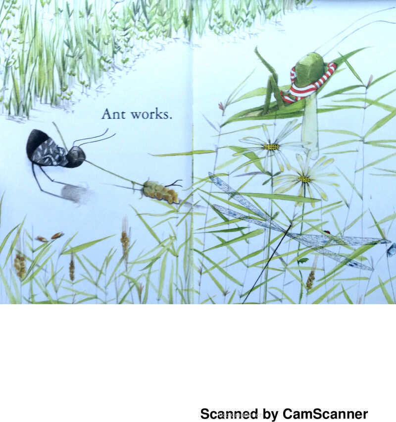 The Ant and the Grasshopper绘本故事第4页