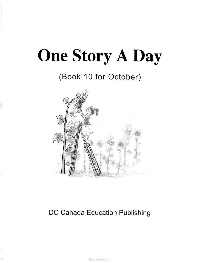 The Buzzard and the Math Test绘本故事第2页