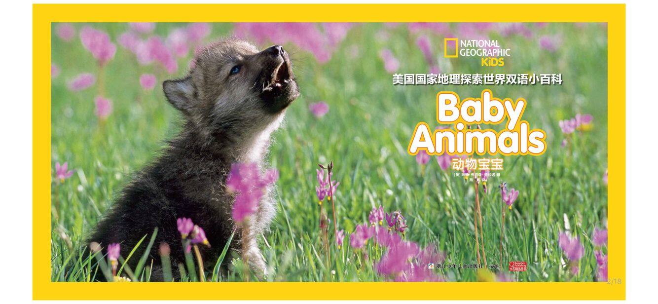 动物宝宝绘本故事第2页