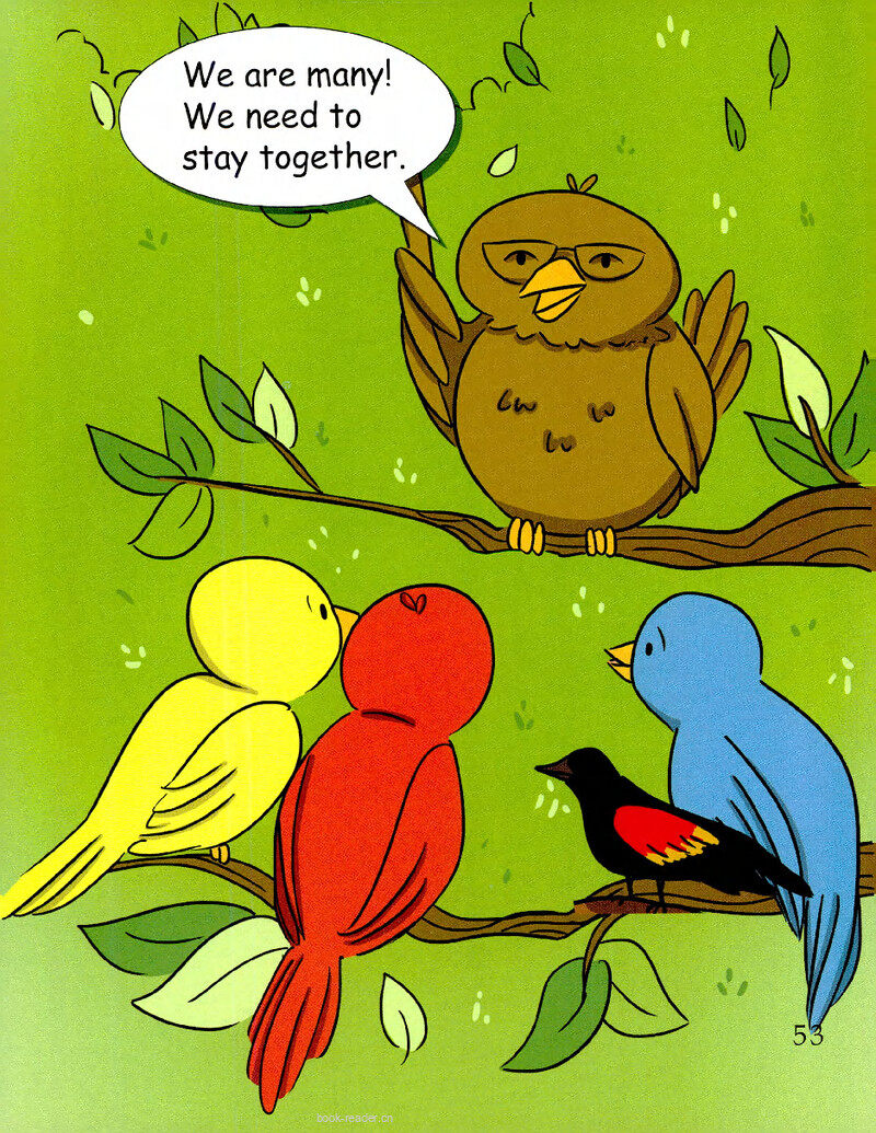 Birds of a Feather-2绘本故事第3页