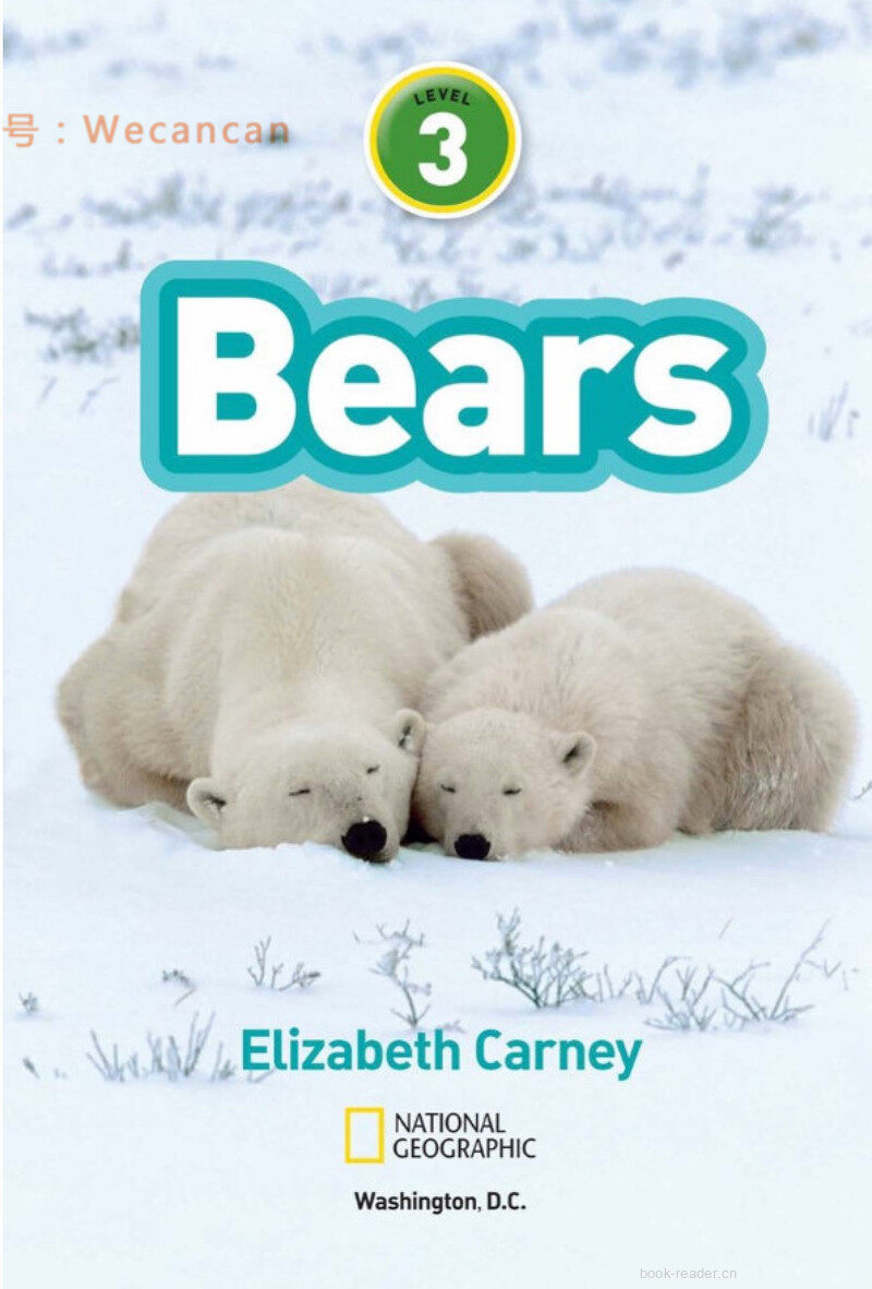 Bears绘本故事第2页