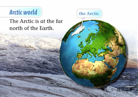Arctic Life绘本故事第3页