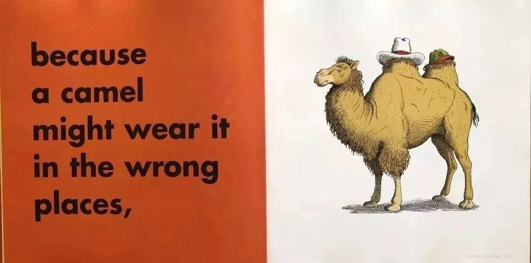 Animals Should Definitely Not Wear Clothing绘本故事第4页