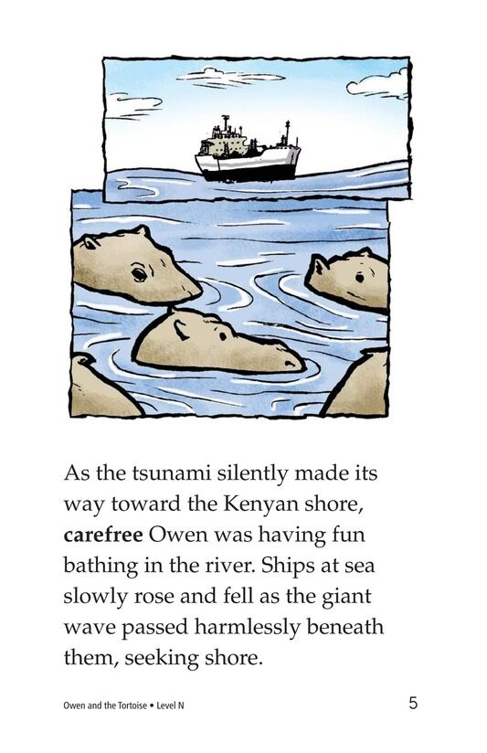Owen and the Tortoise绘本故事第5页