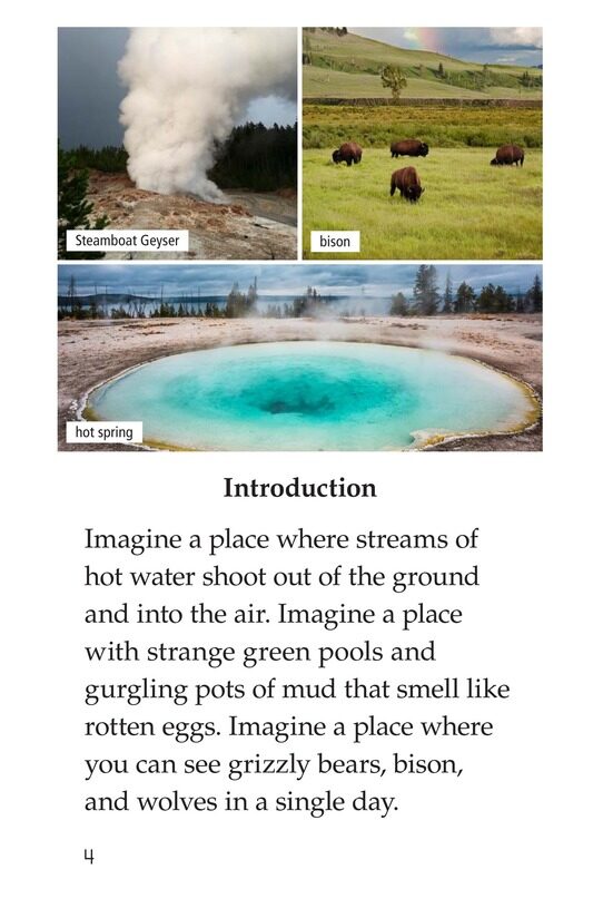 Yellowstone A Place of Wild Wonders绘本故事第3页