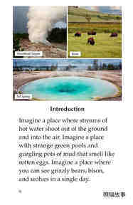 Yellowstone A Place of Wild Wonders绘本故事第3页